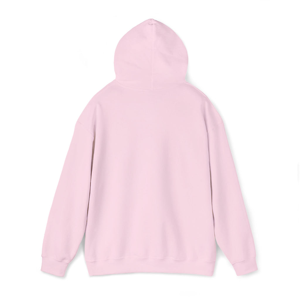 JDM Hoodie unisex