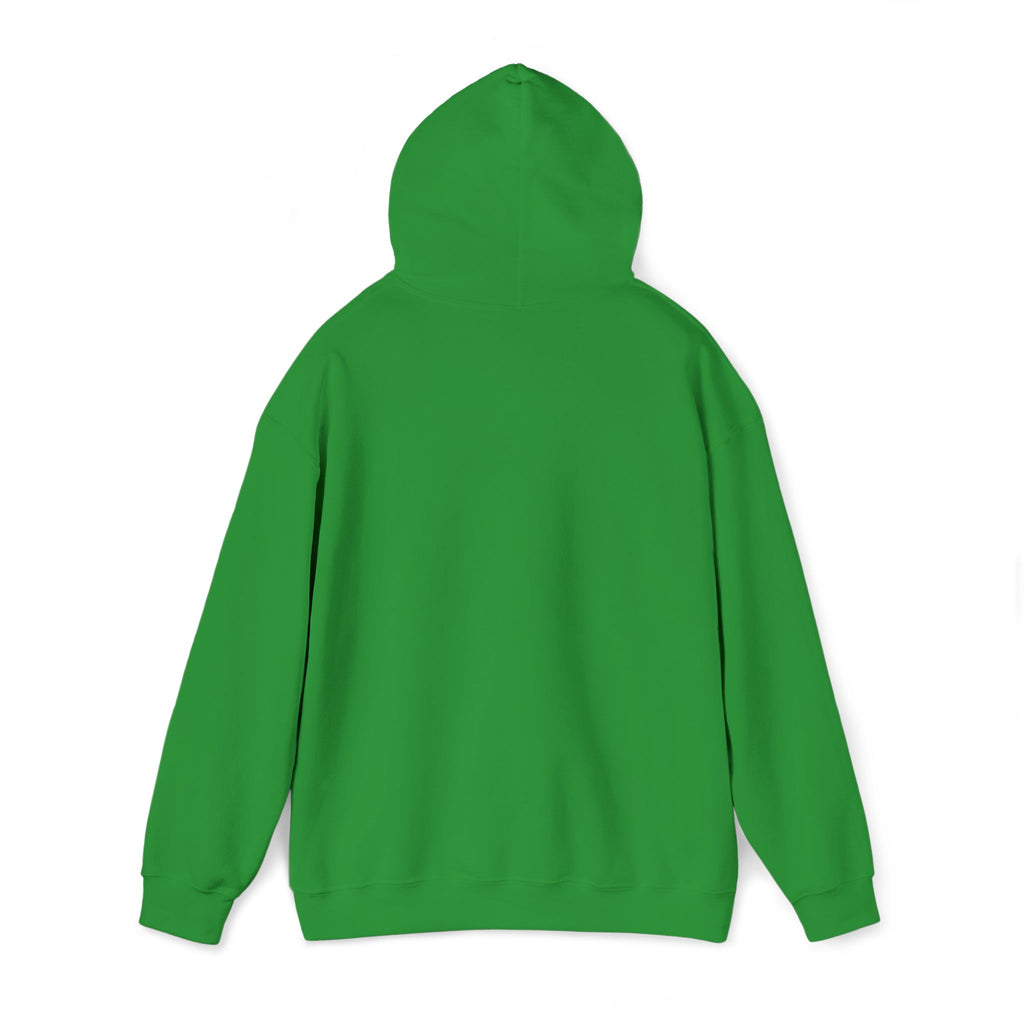 JDM Hoodie unisex
