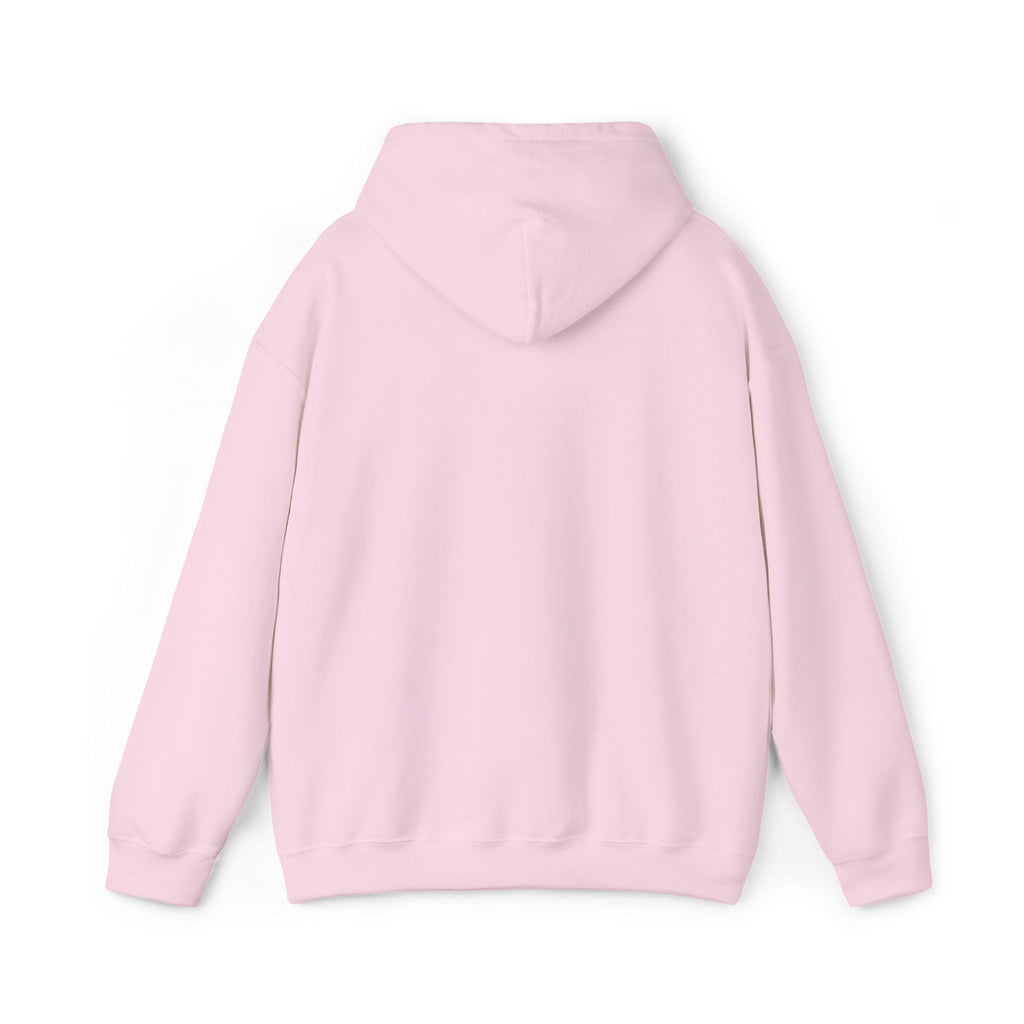 JDM Hoodie unisex