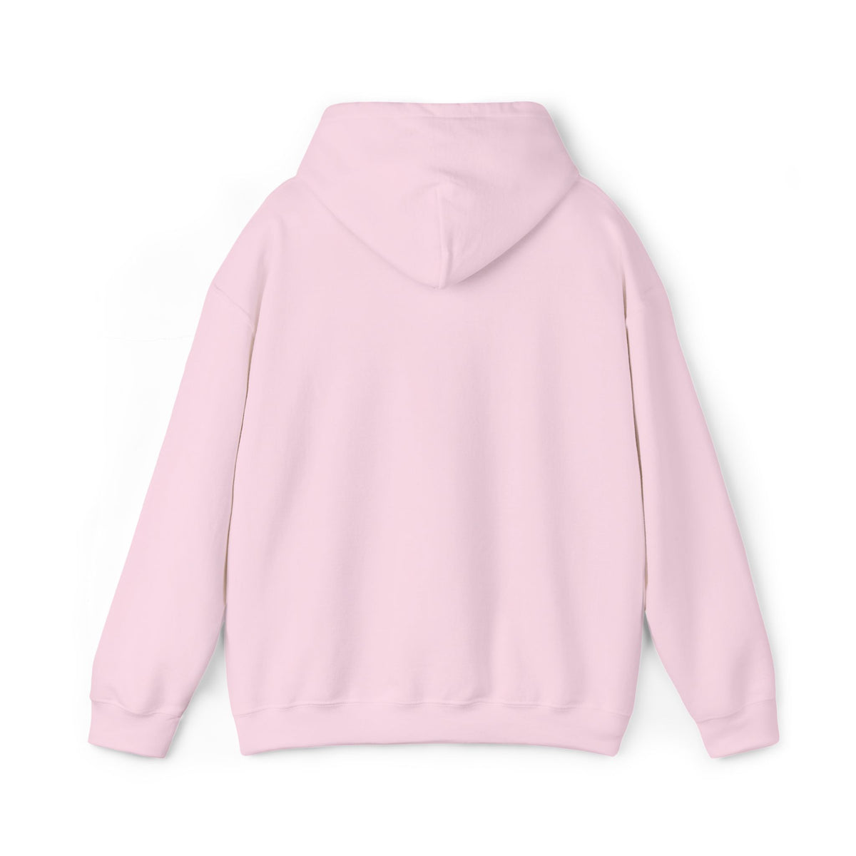 JDM Hoodie unisex