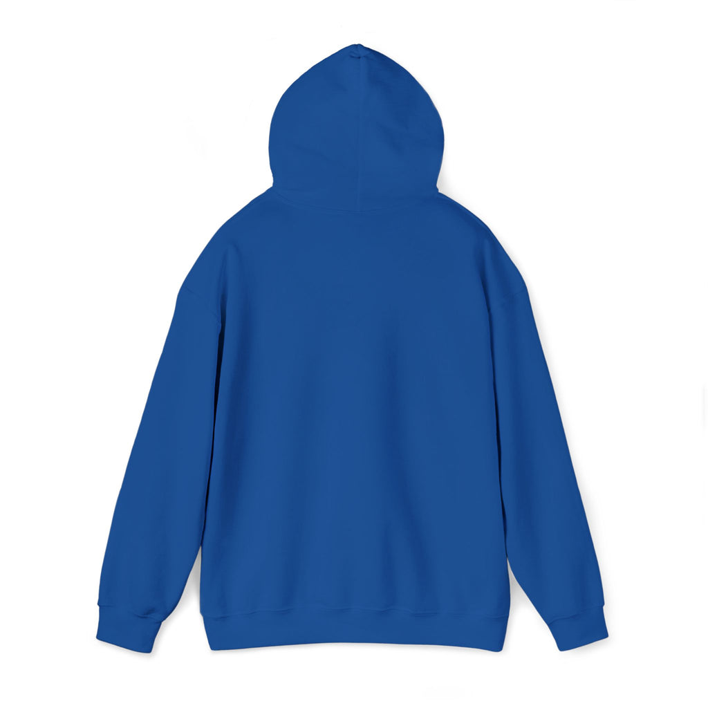JDM Hoodie unisex