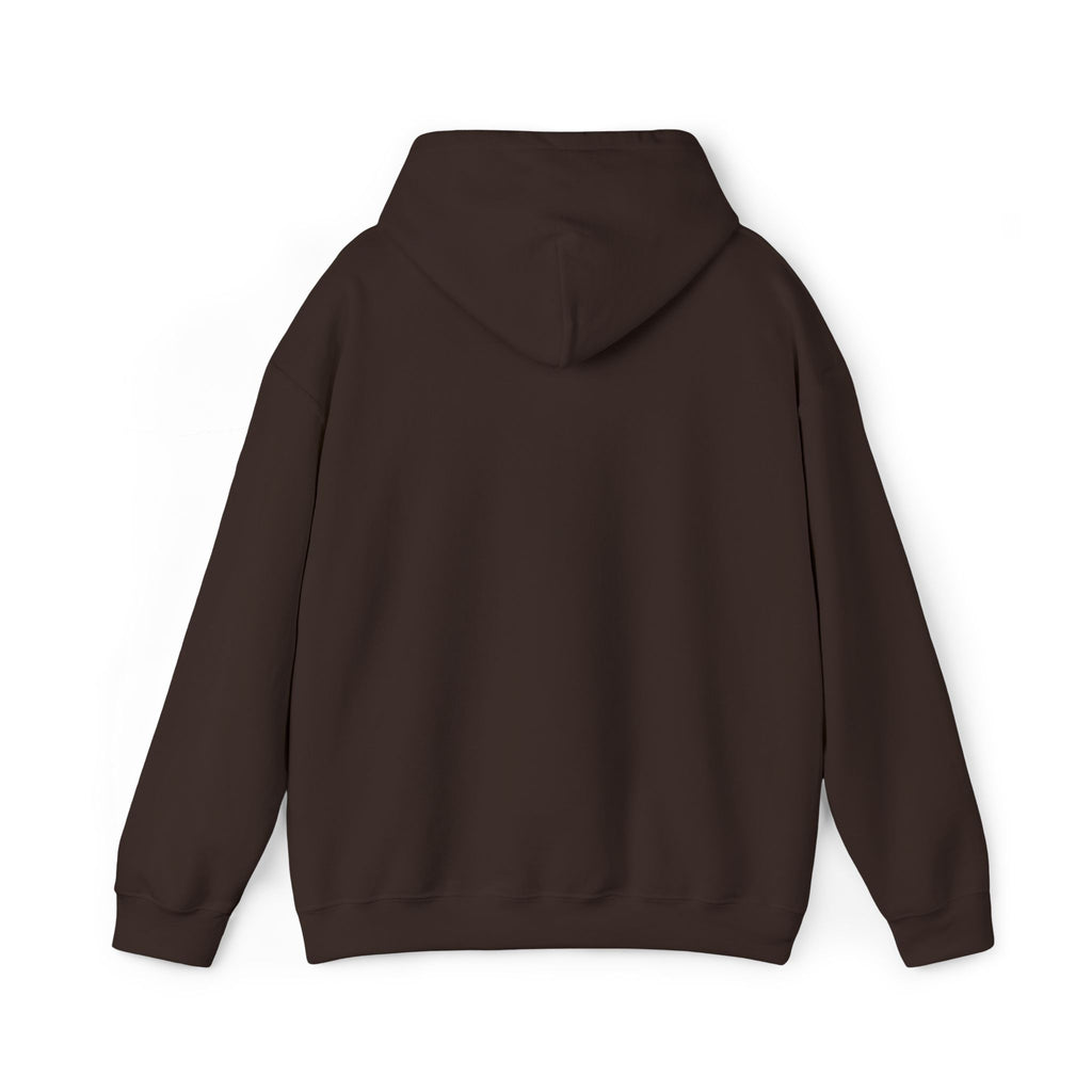 JDM Hoodie unisex
