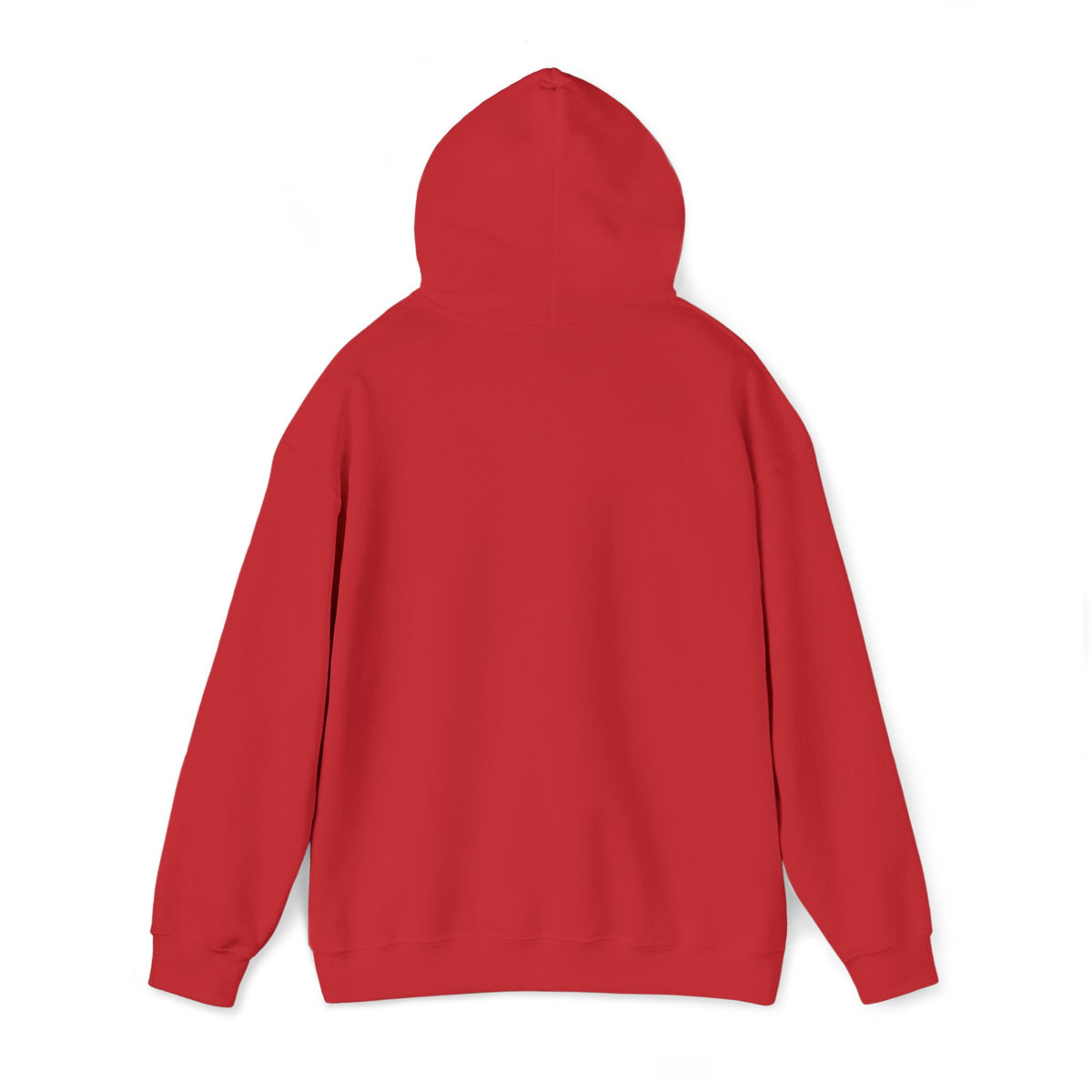 JDM Hoodie unisex