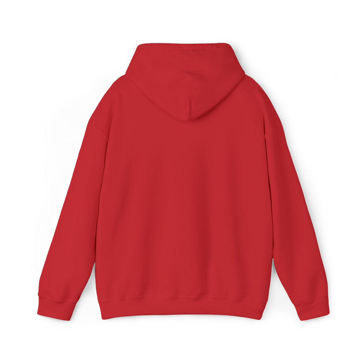 JDM Hoodie unisex