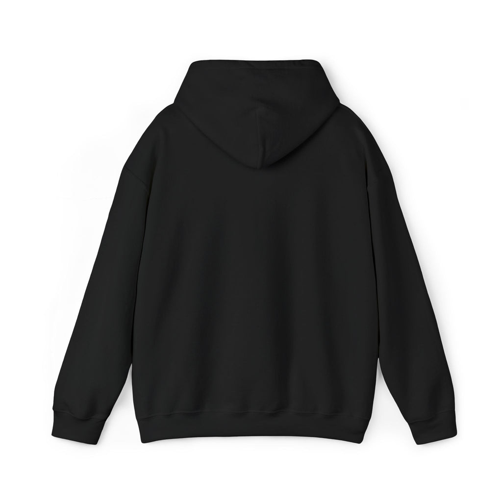JDM Hoodie unisex