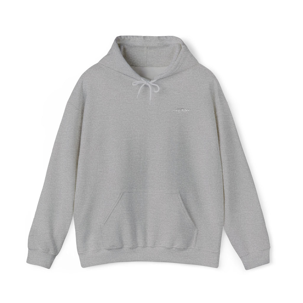 JDM Hoodie unisex