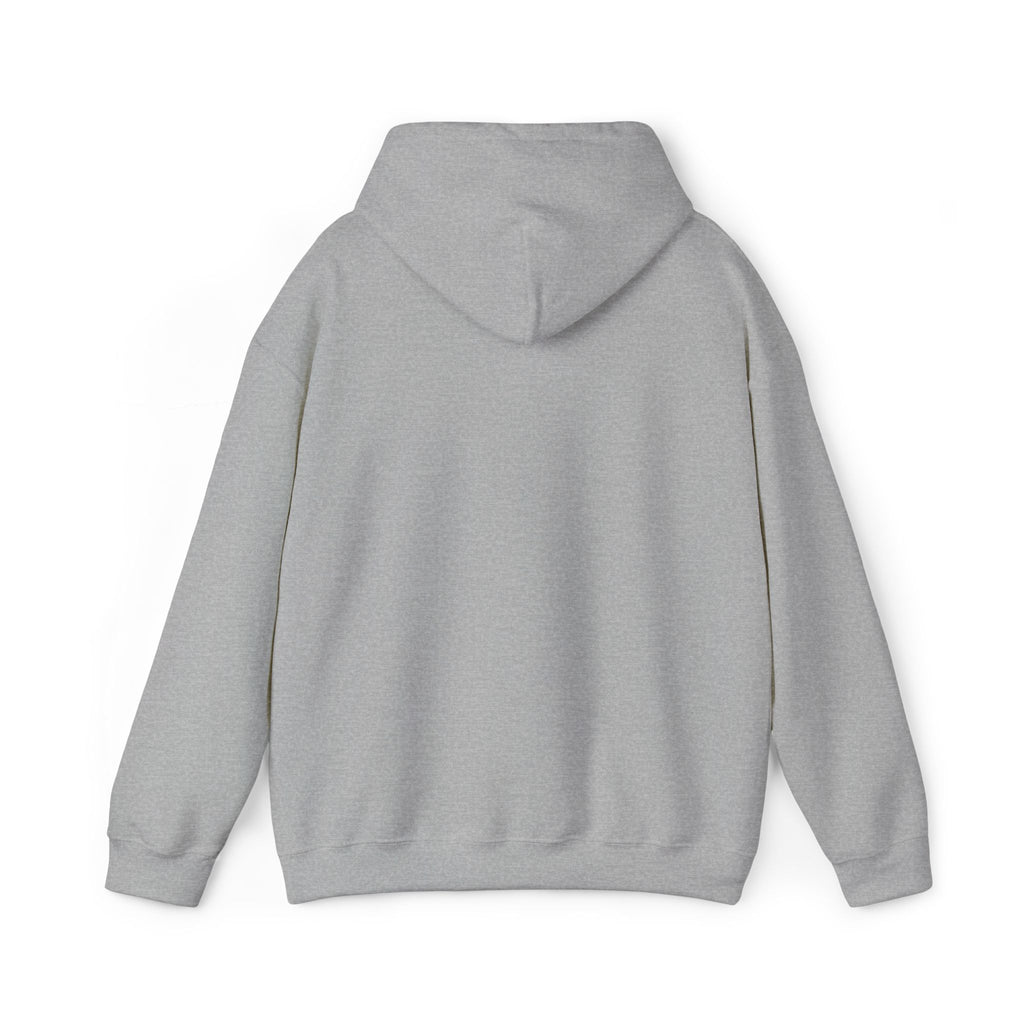 JDM Hoodie unisex